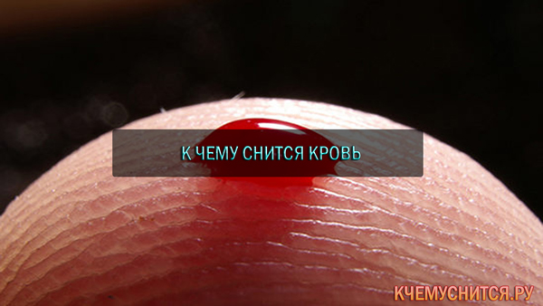 К чему снится кровь на руках своих от месячных К чему снится кровь на руках своих от месячных